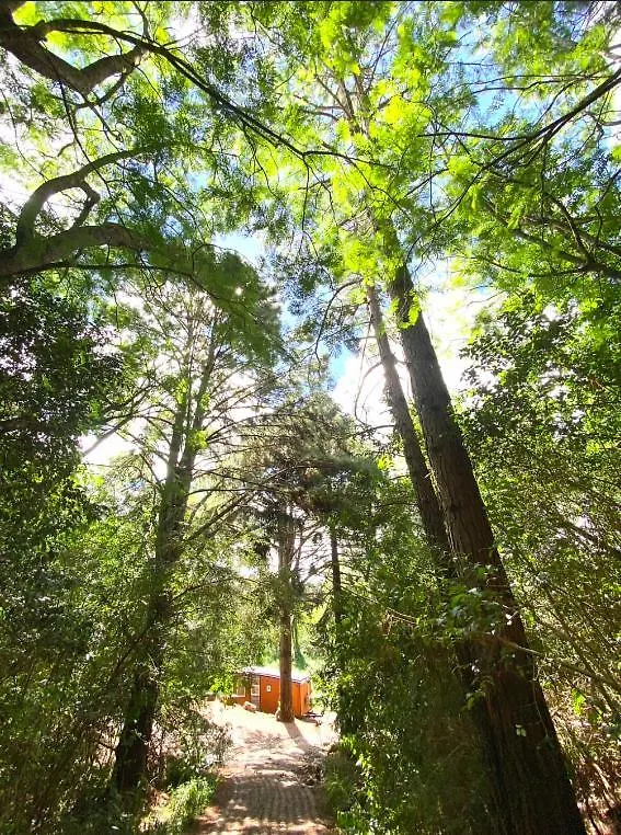 Сasa de vacaciones Villa Tiny House Spectacular Eco Retreat & Cosy Maleny Australia